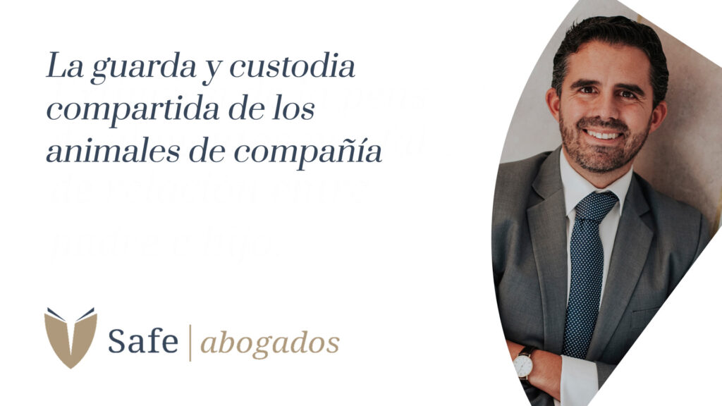 guarda y custodia compartida perros mascotas