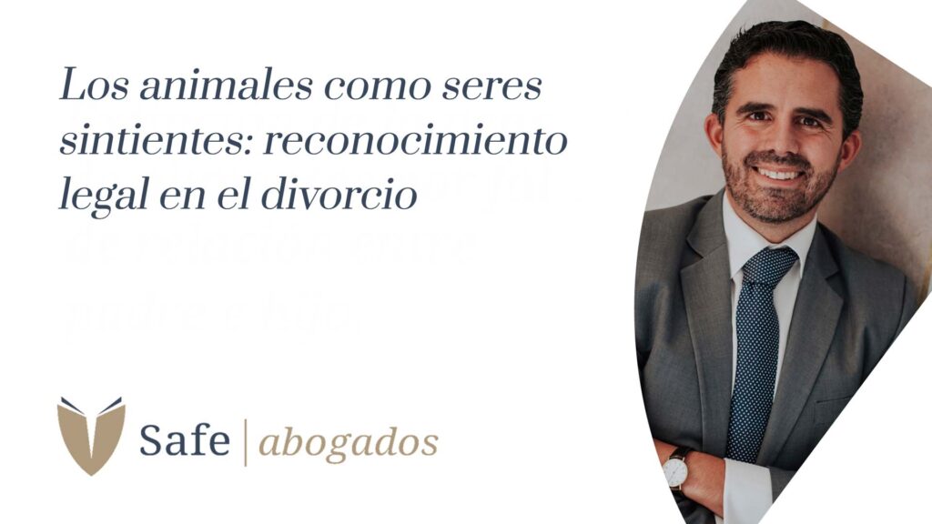 animales como seres sintientes